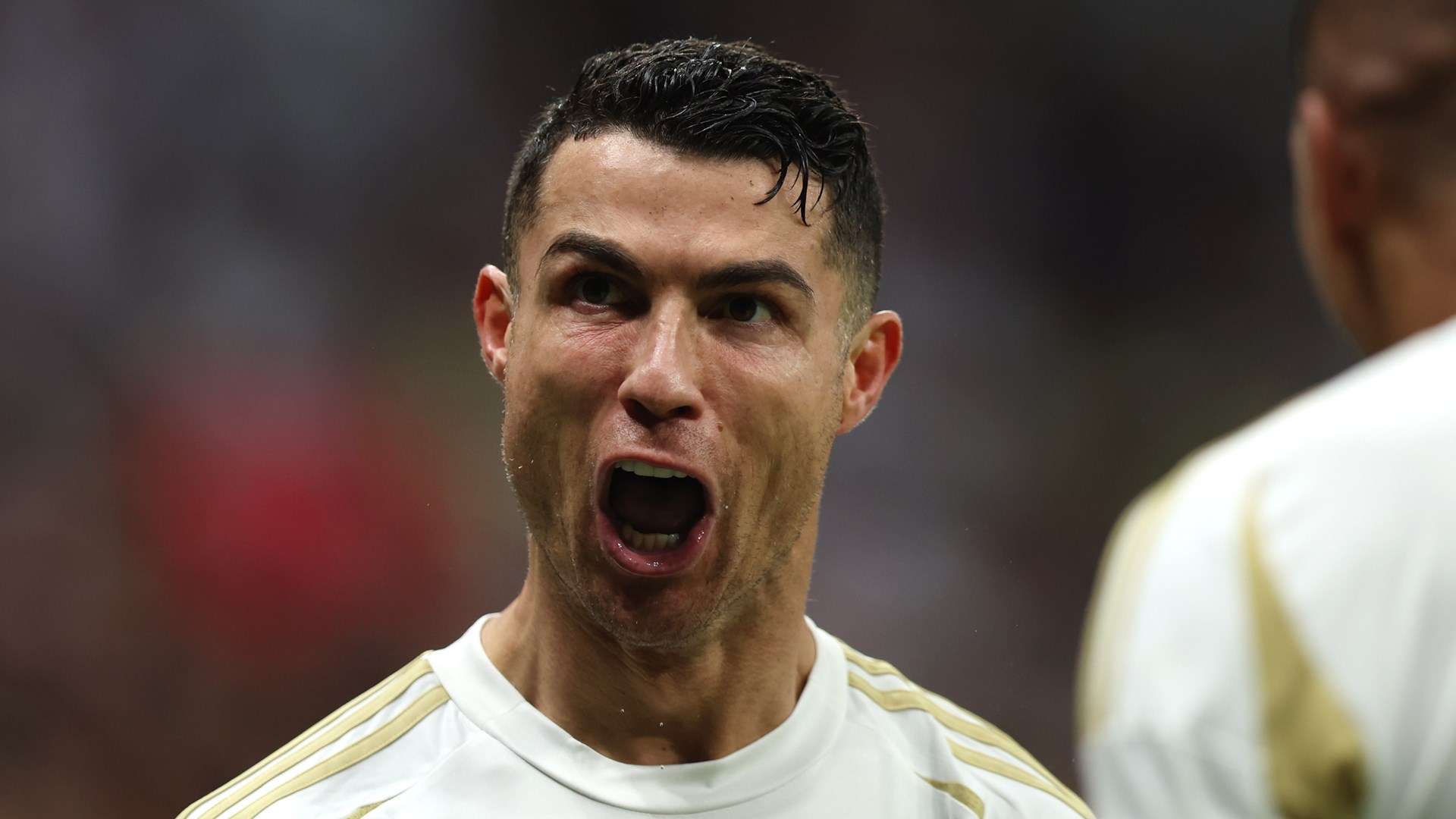 尤文的球迷 尤文的球迷